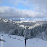 Le Vosgien De Groupe * Saulxures-sur-Moselotte