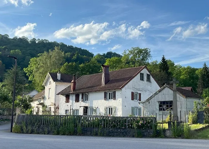 Le Vosgien De Groupe *