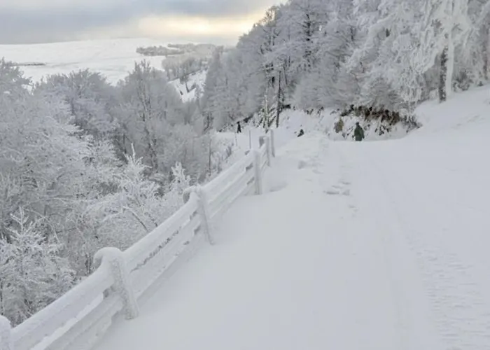 Le Vosgien De Groupe Apartment