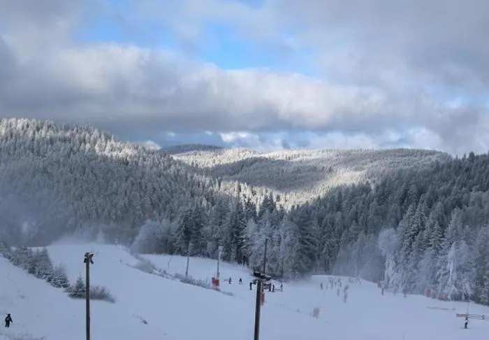 Le Vosgien De Groupe * Saulxures-sur-Moselotte