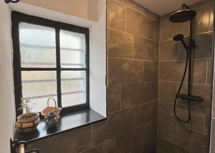 Le Vosgien De Groupe Saulxures-sur-Moselotte